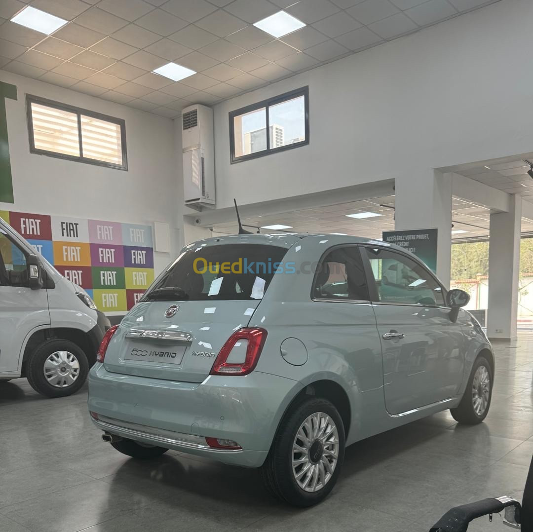 Fiat 500 2024 