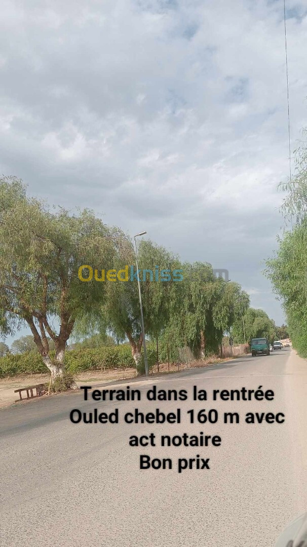 Vente Terrain Alger Ouled chebel