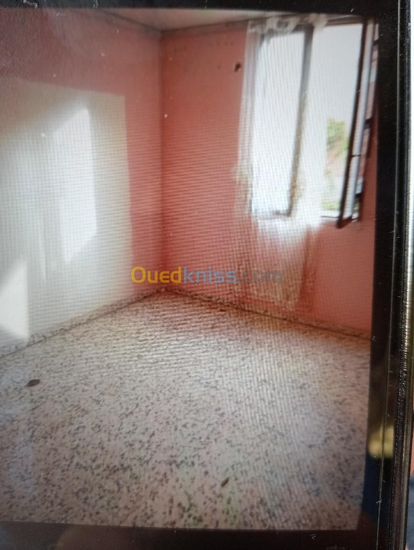 Vente Niveau De Villa F6 Chlef Chettia