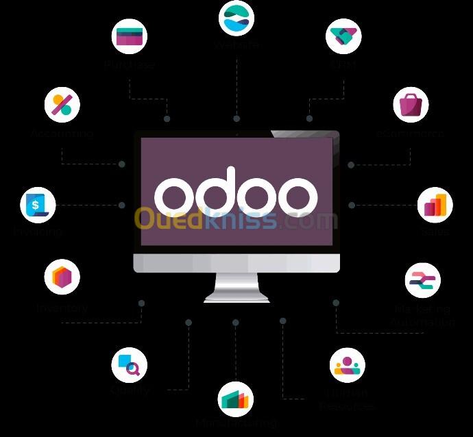 Service de personnalisation Odoo pour grands magasins multi-points de vente