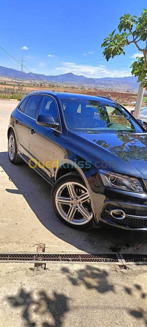 Audi Q5 2013 S Line