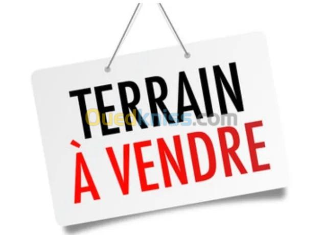 Vente Terrain Biskra El kantara