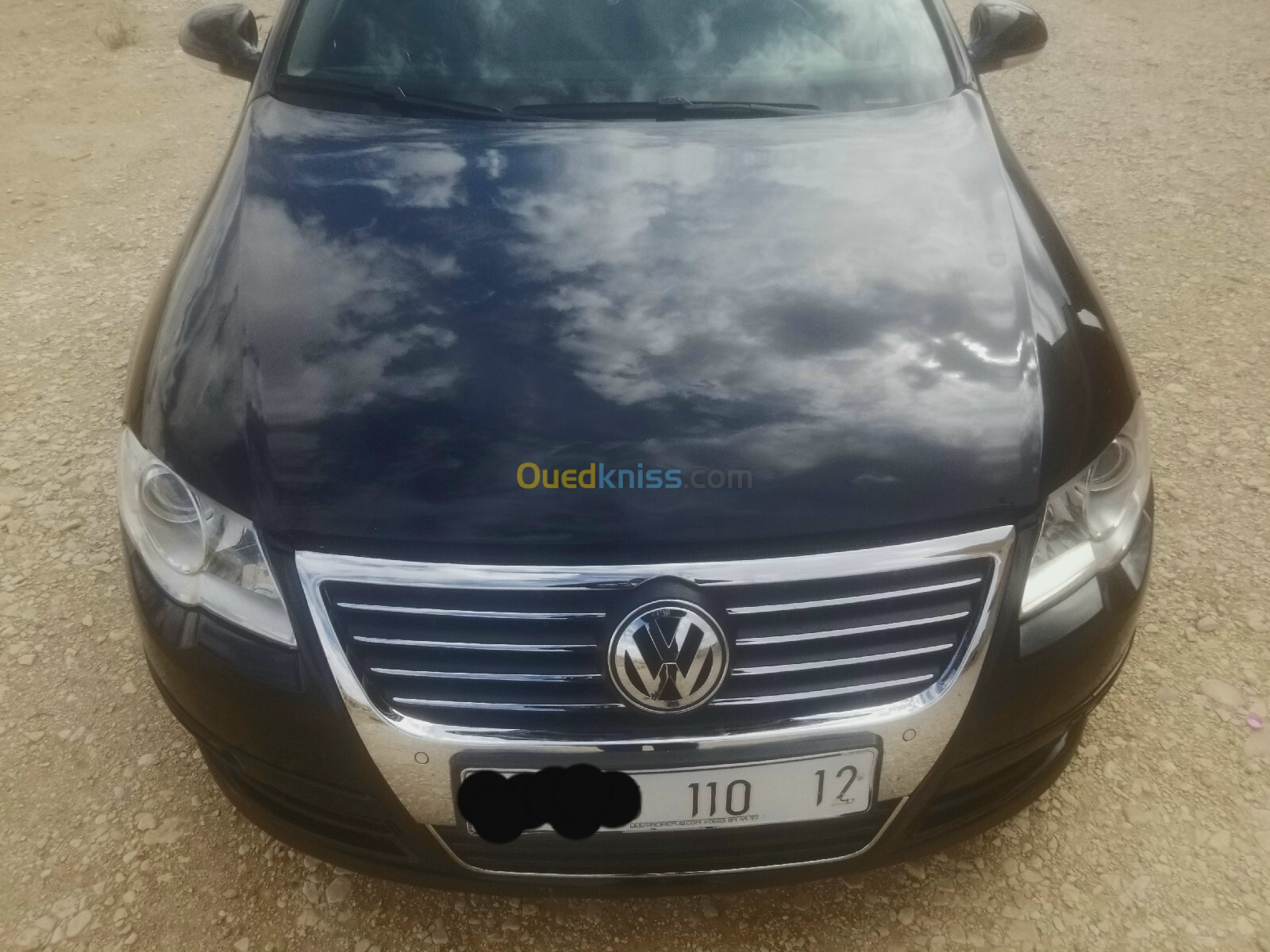 Volkswagen Passat 2010 Passat