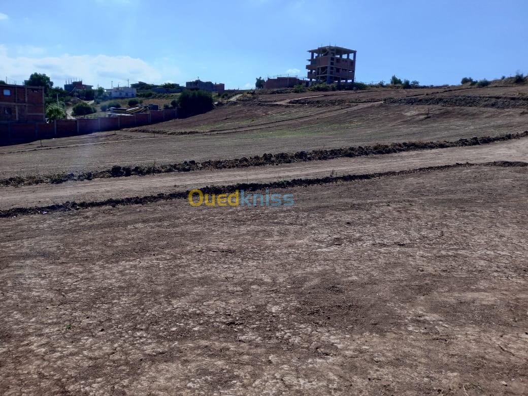 Vente Terrain Boumerdès Ouled moussa