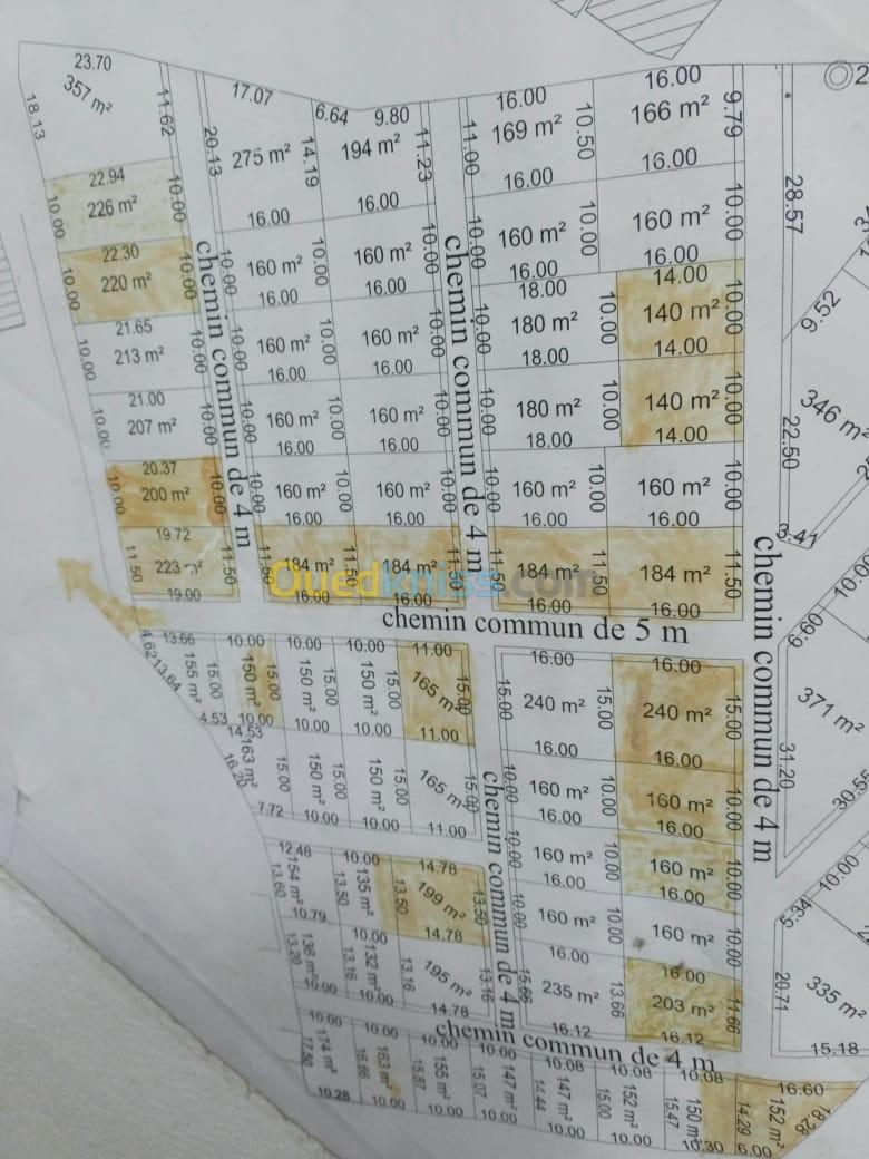 Vente Terrain Boumerdès Ouled moussa