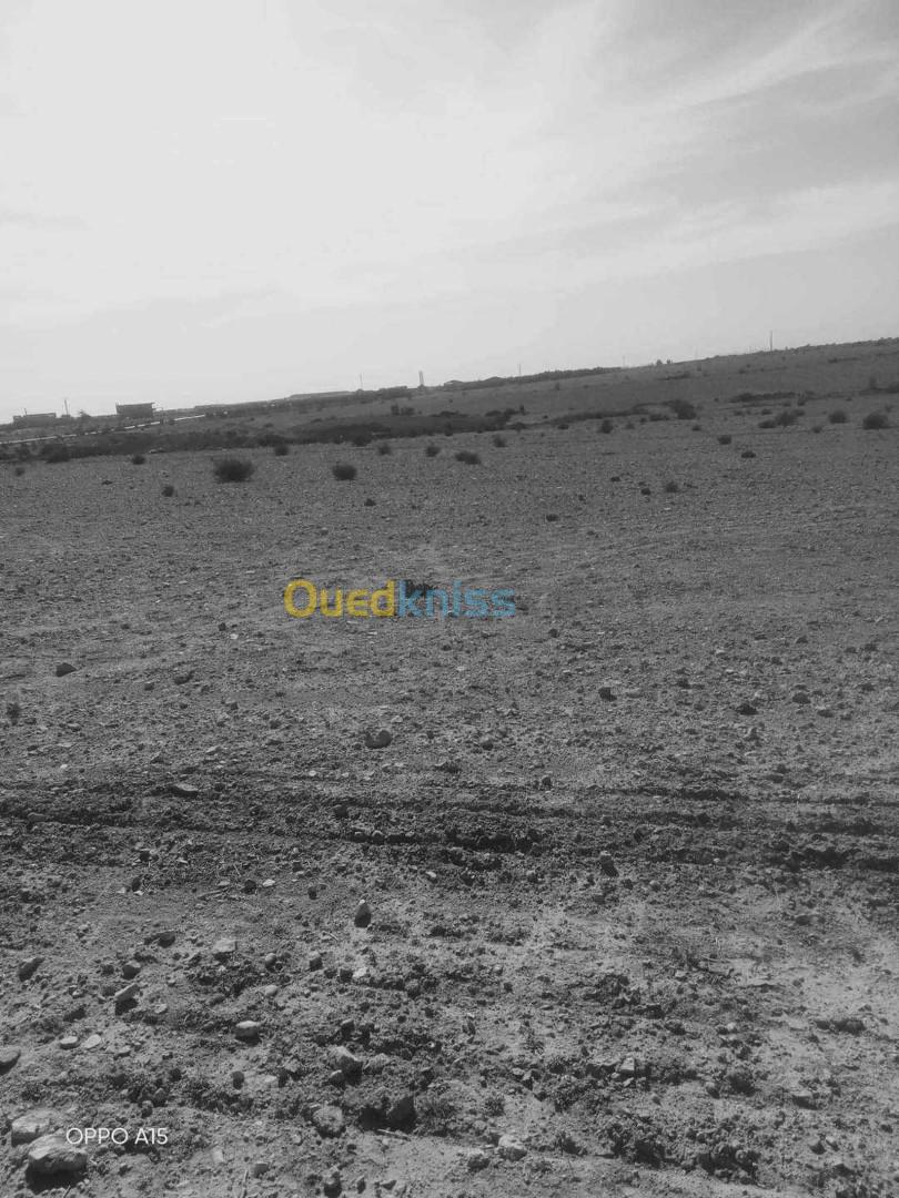 Vente Terrain Batna Ras el aioun