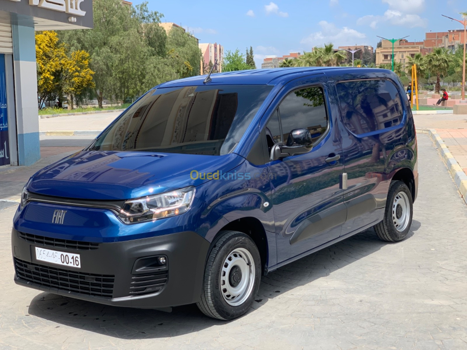 Fiat Doblo 2023 Profsinal