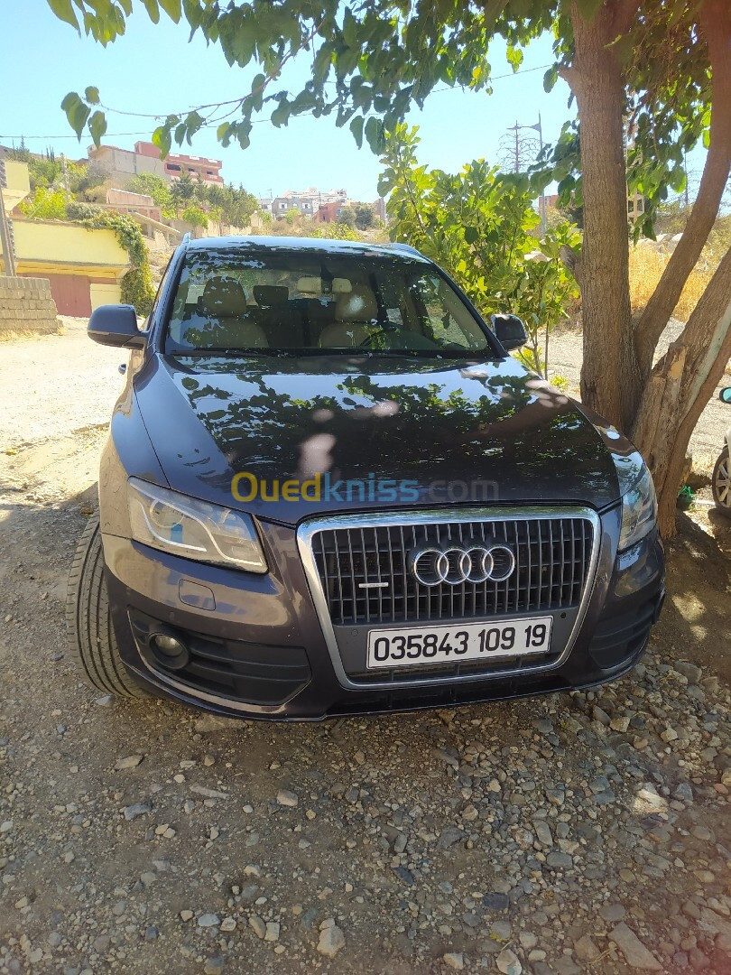 Audi Q5 2009 Ambition luxe