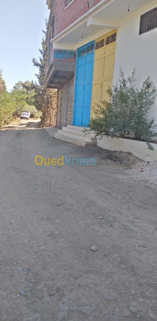 Vente Terrain Blida El affroun