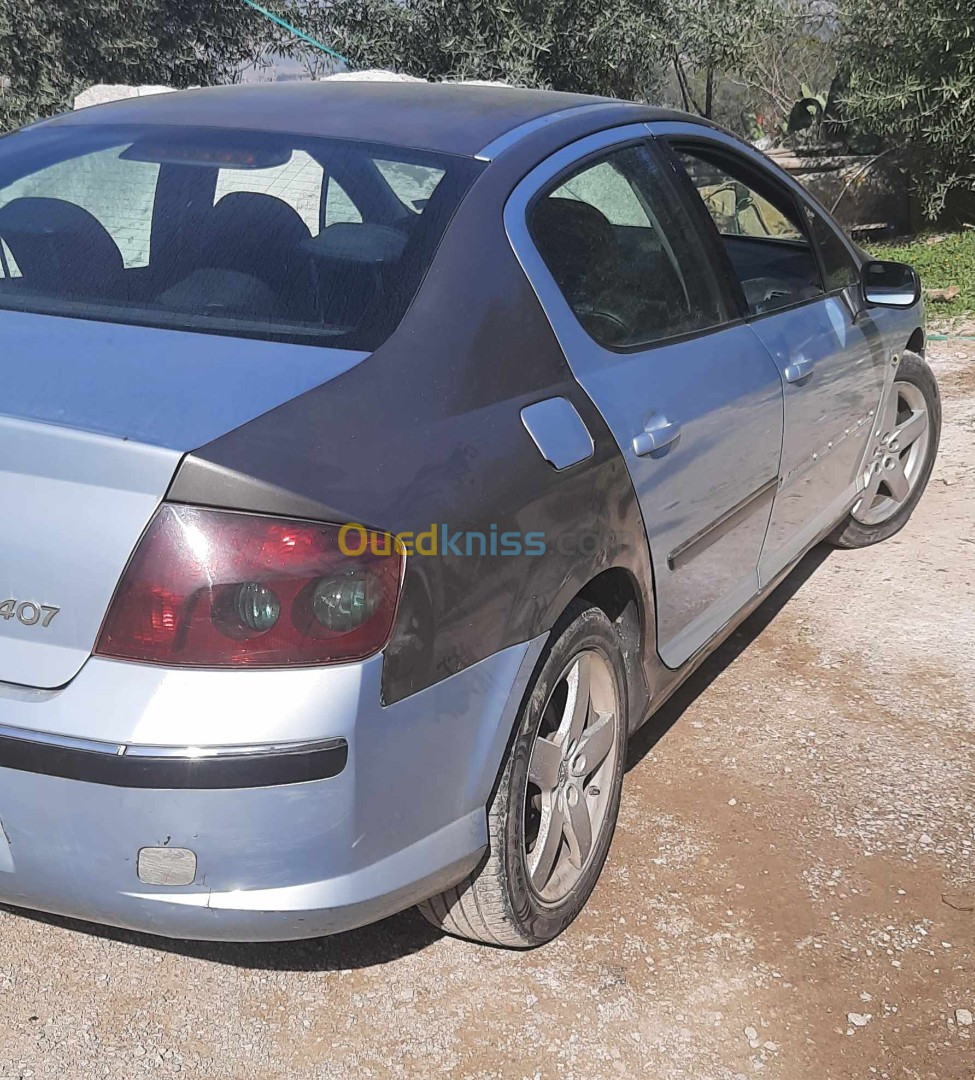 Peugeot 407 2005 407