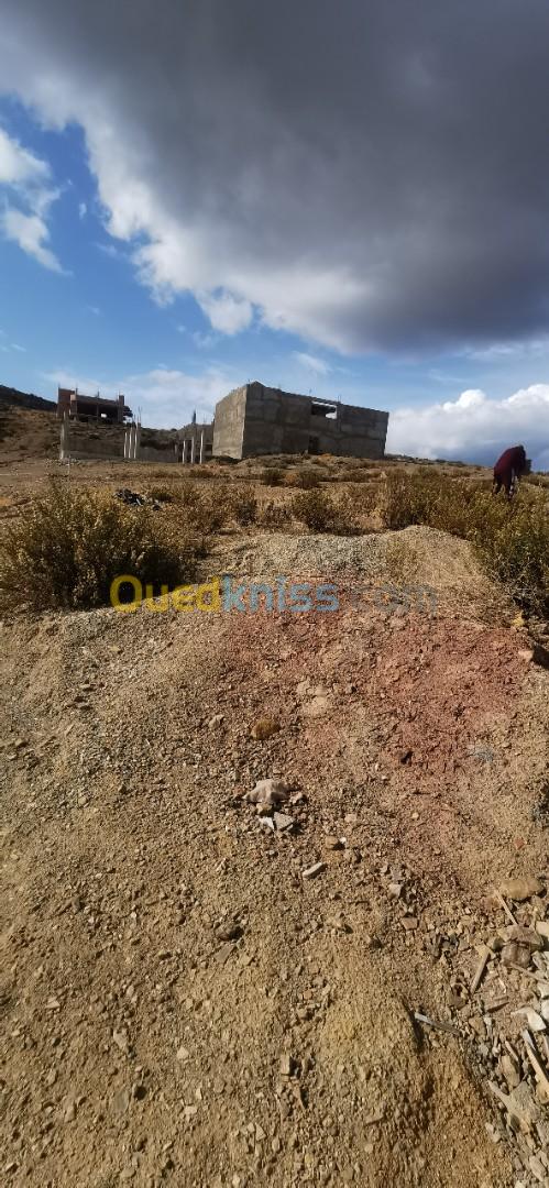 Vente Terrain Chlef Oued goussine