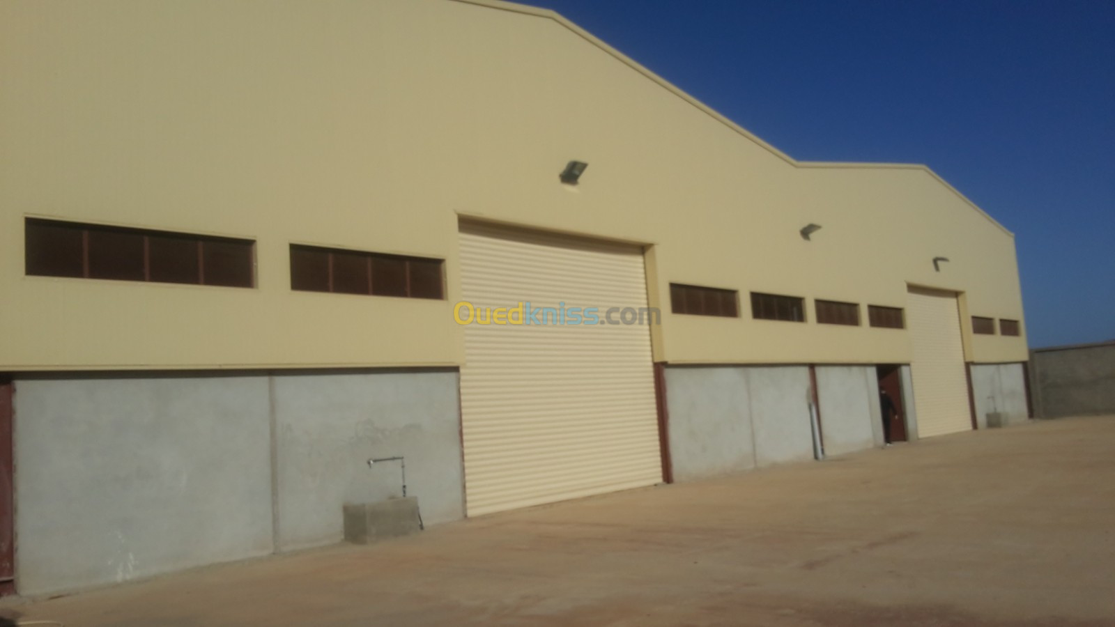 Location Hangar Alger Baraki