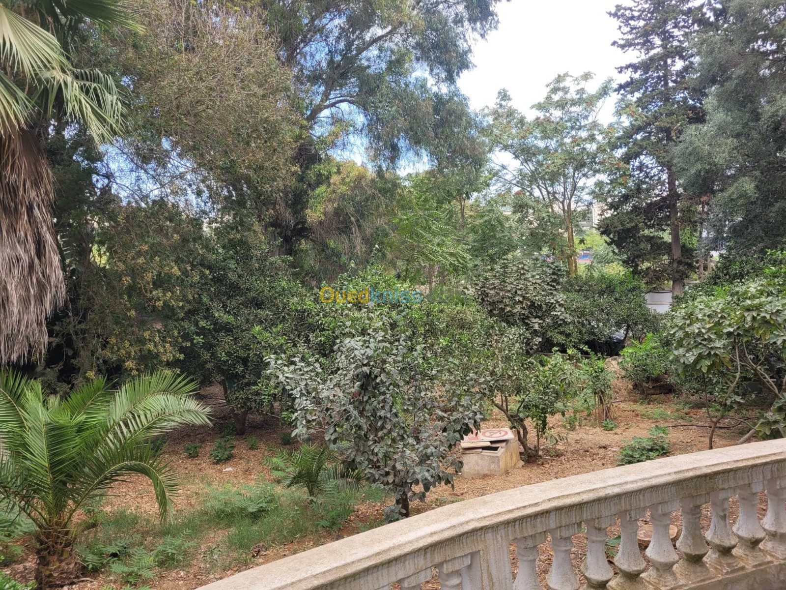 Location Villa Alger El biar