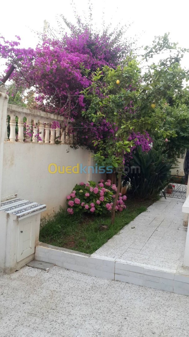 Location Niveau De Villa F4 Alger Hydra