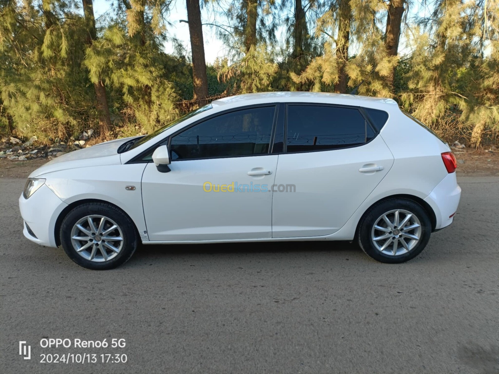 Seat Ibiza 2013 Fully