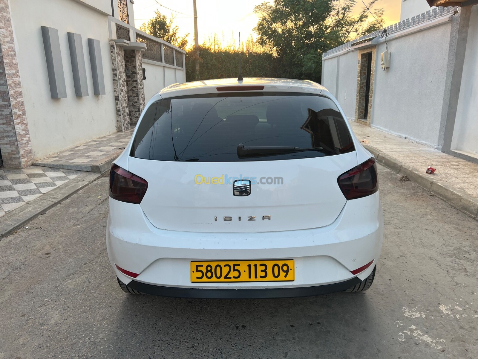 Seat Ibiza 2013 Fully