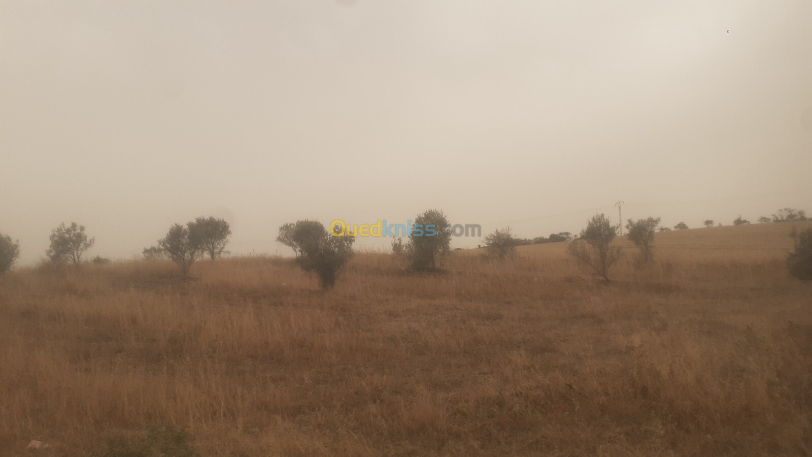 Vente Terrain Agricole Tipaza Sidi rached