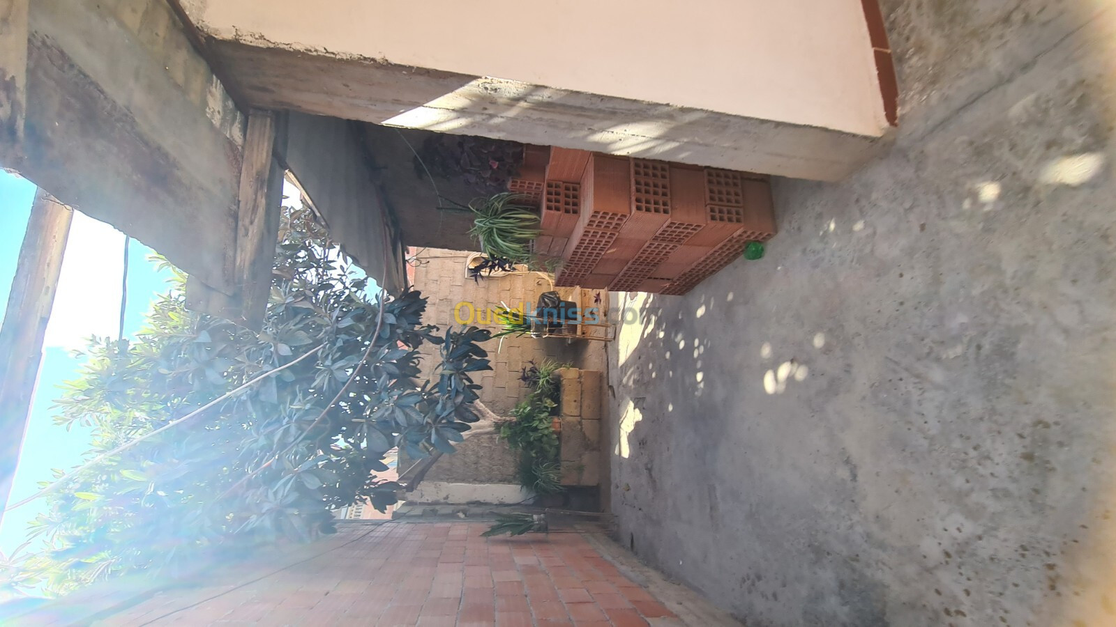 Vente Villa Blida Bougara