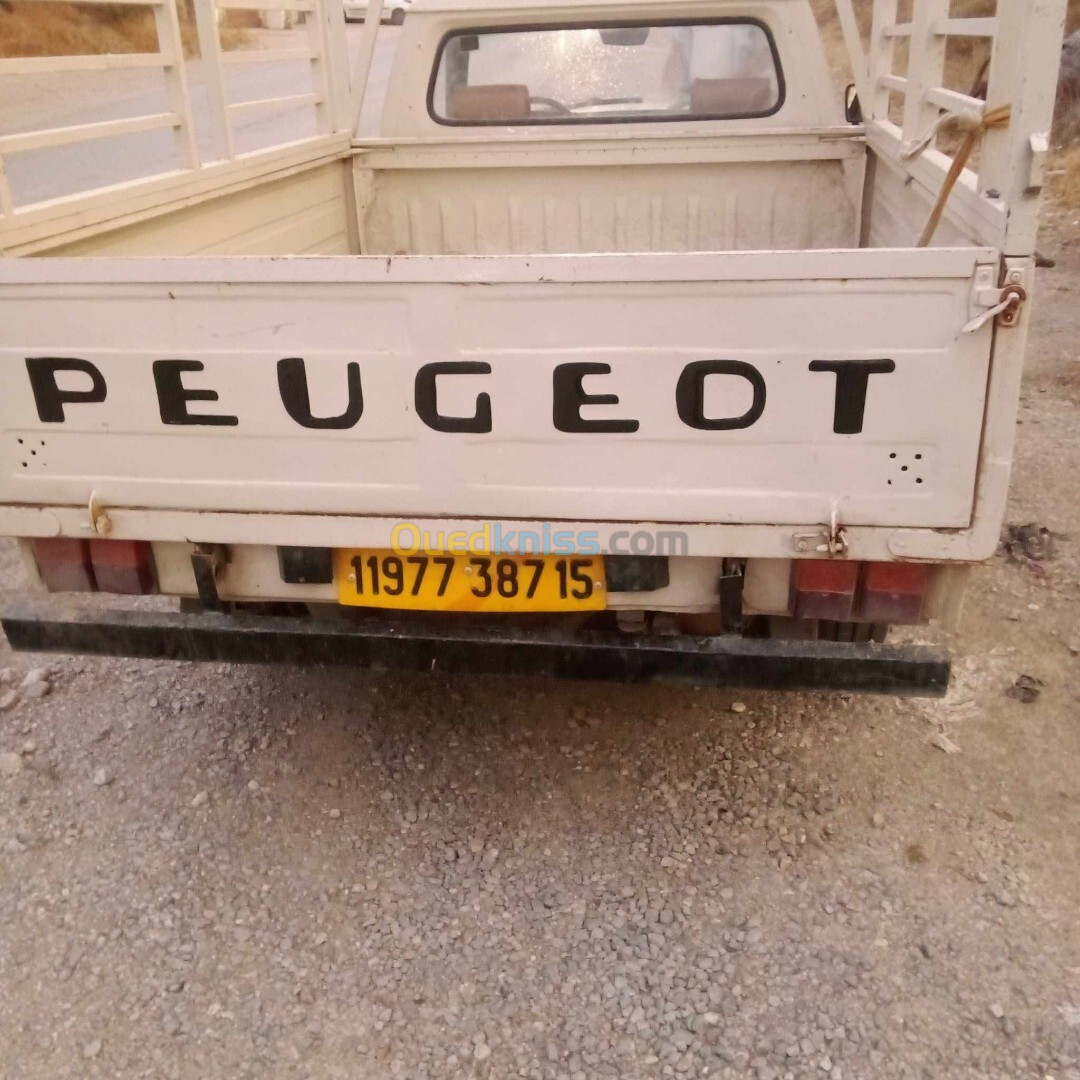 Peugeot 504 1987 