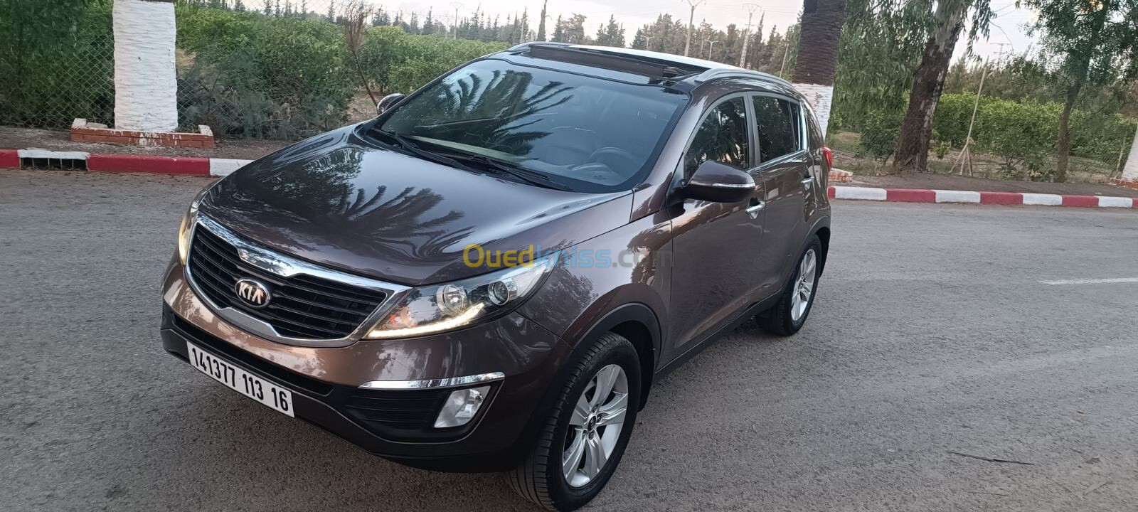 Kia Sportage 2013 Sportage