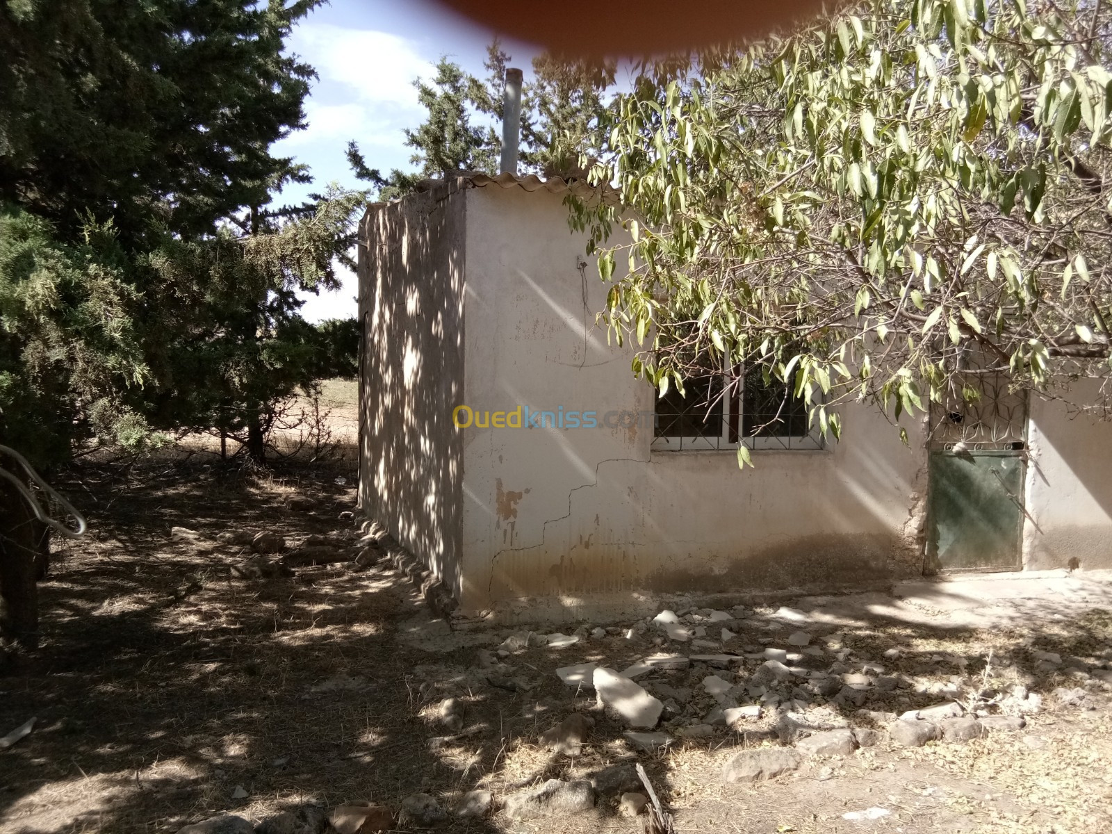 Vente Terrain Agricole Tiaret Dahmouni