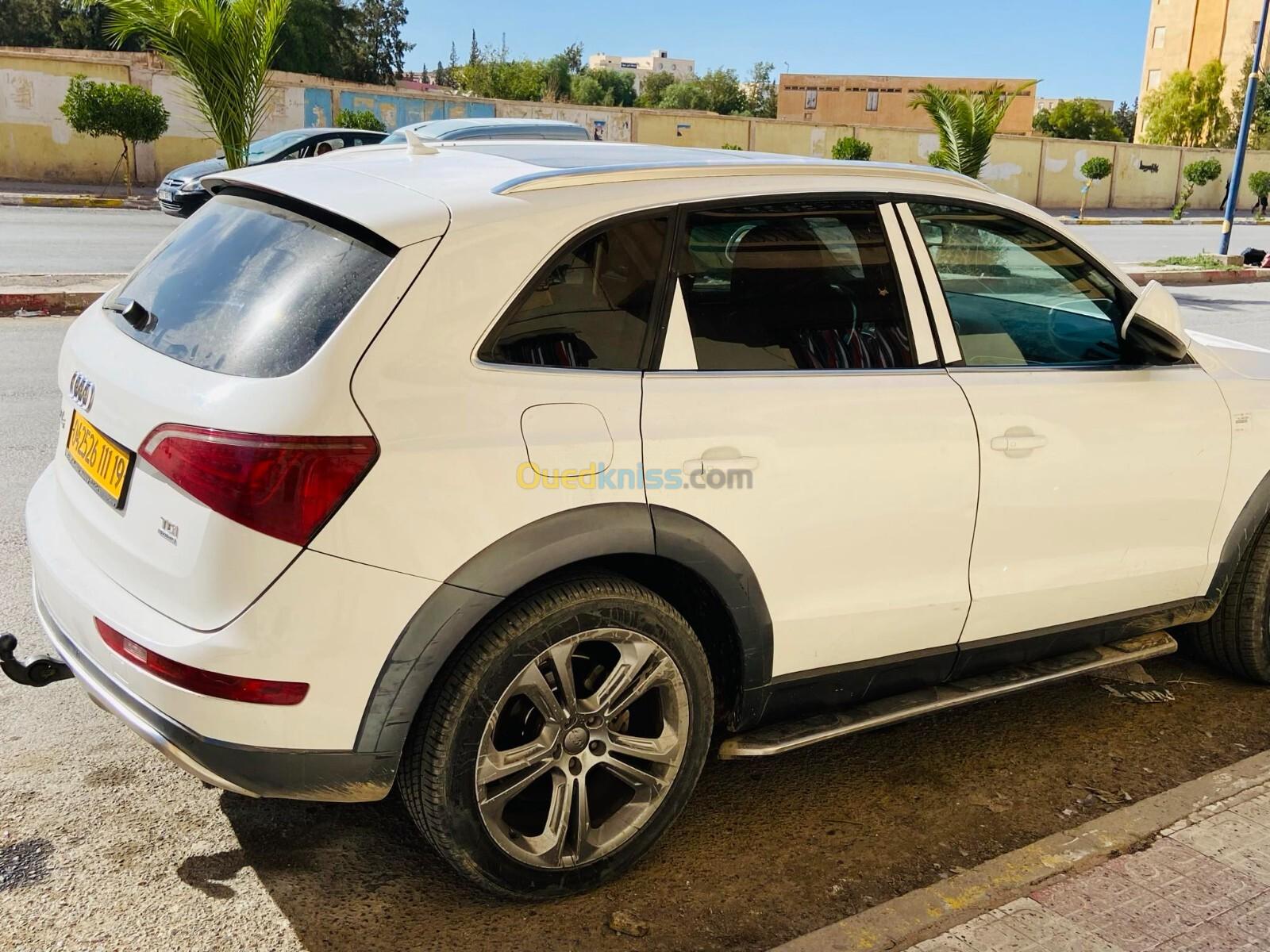 Audi Q5 2011 Off Road