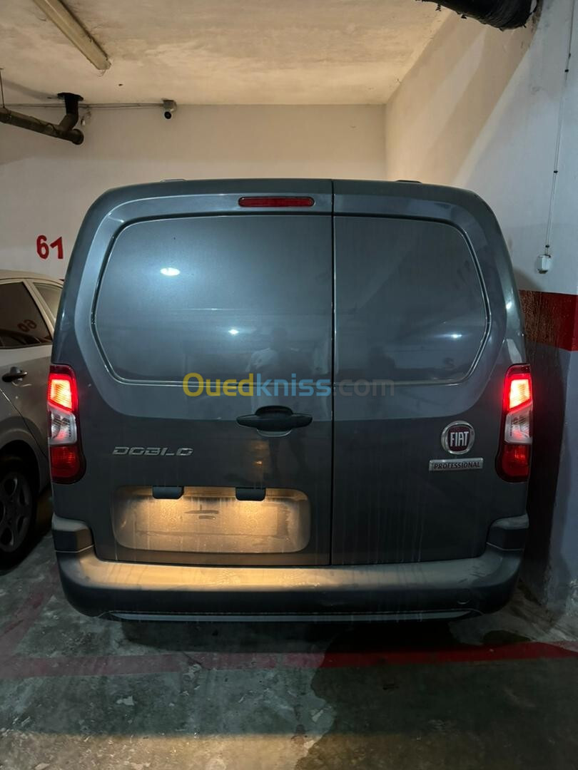 Fiat Doblo 2024 Professional