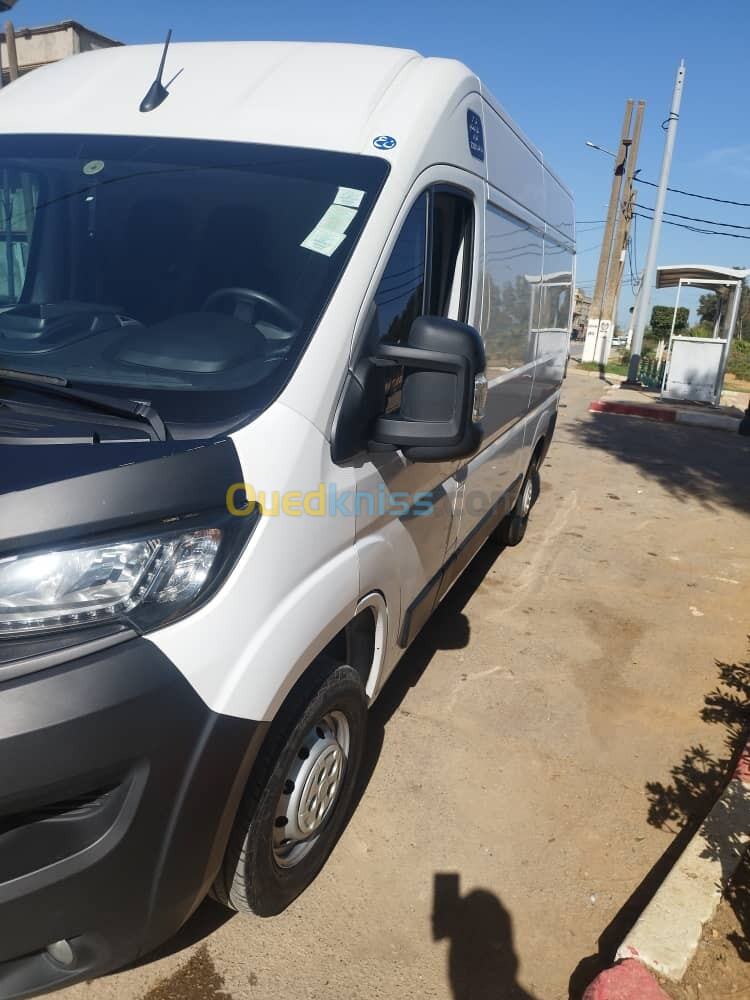 Fiat Ducato 2023