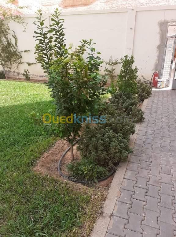 Location Appartement F3 Ouargla Hassi messaoud