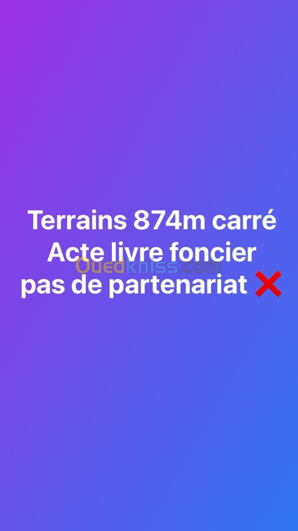 Vente Terrain Alger Dely brahim