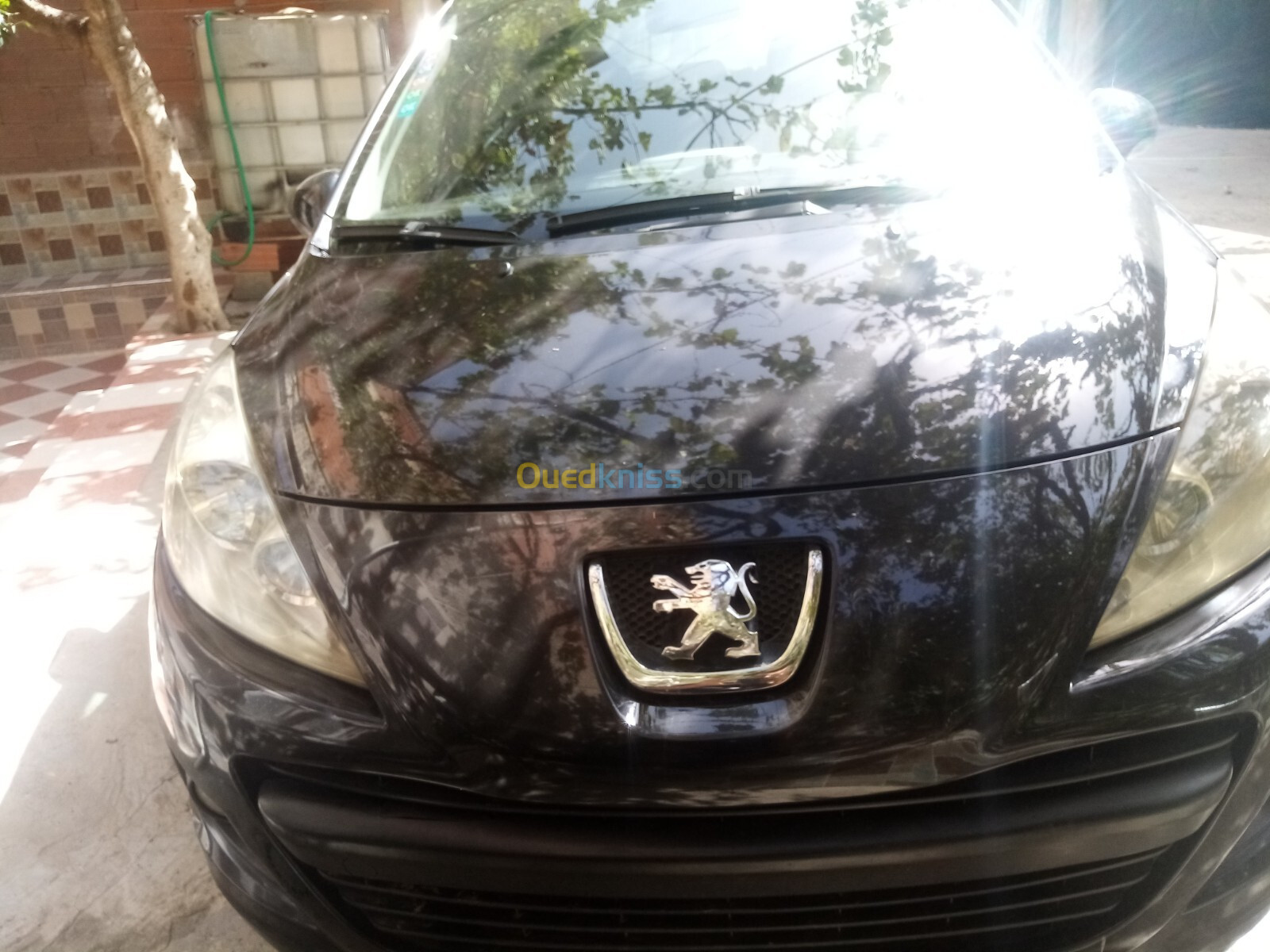 Peugeot 207 2010 207