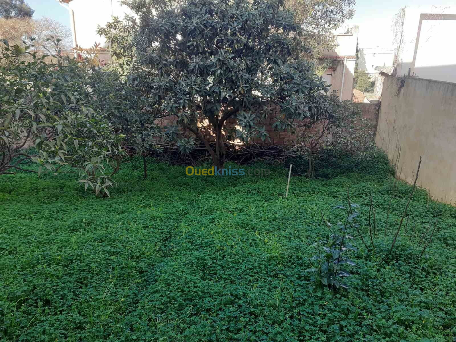 Vente Villa Alger Mohammadia