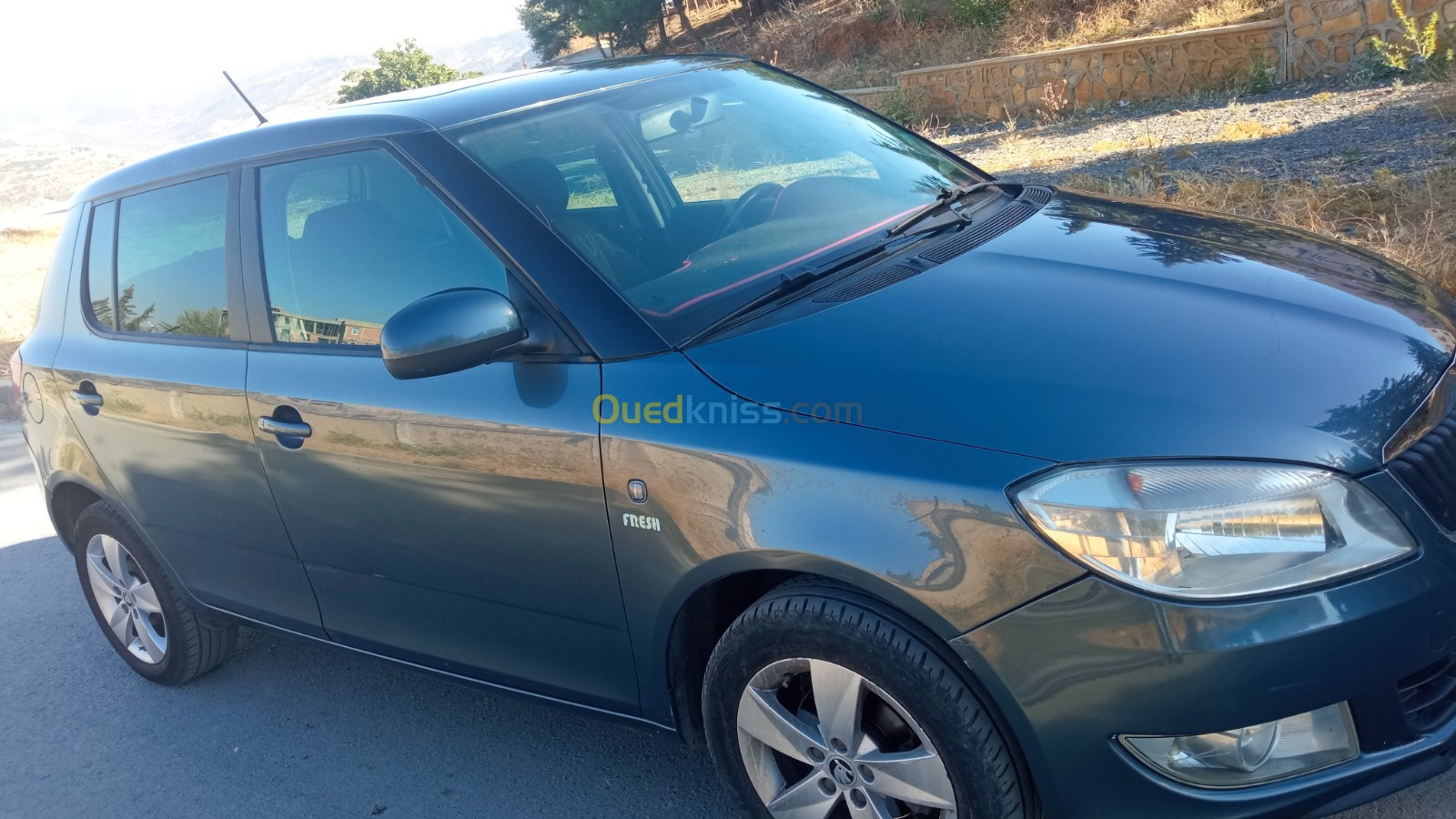 Skoda Fabia 2014 Fresh