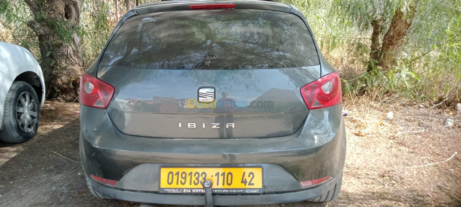 Seat Ibiza 2010 Loca