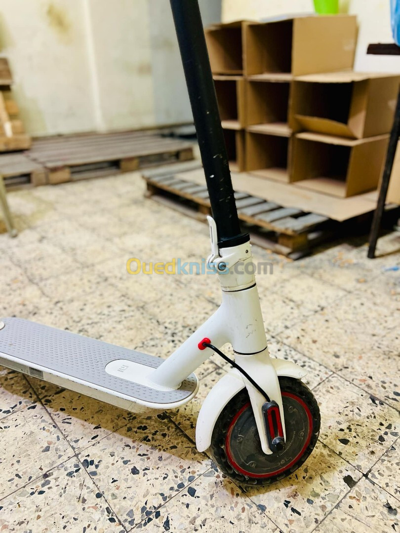 Xiaomi M365 scooter 