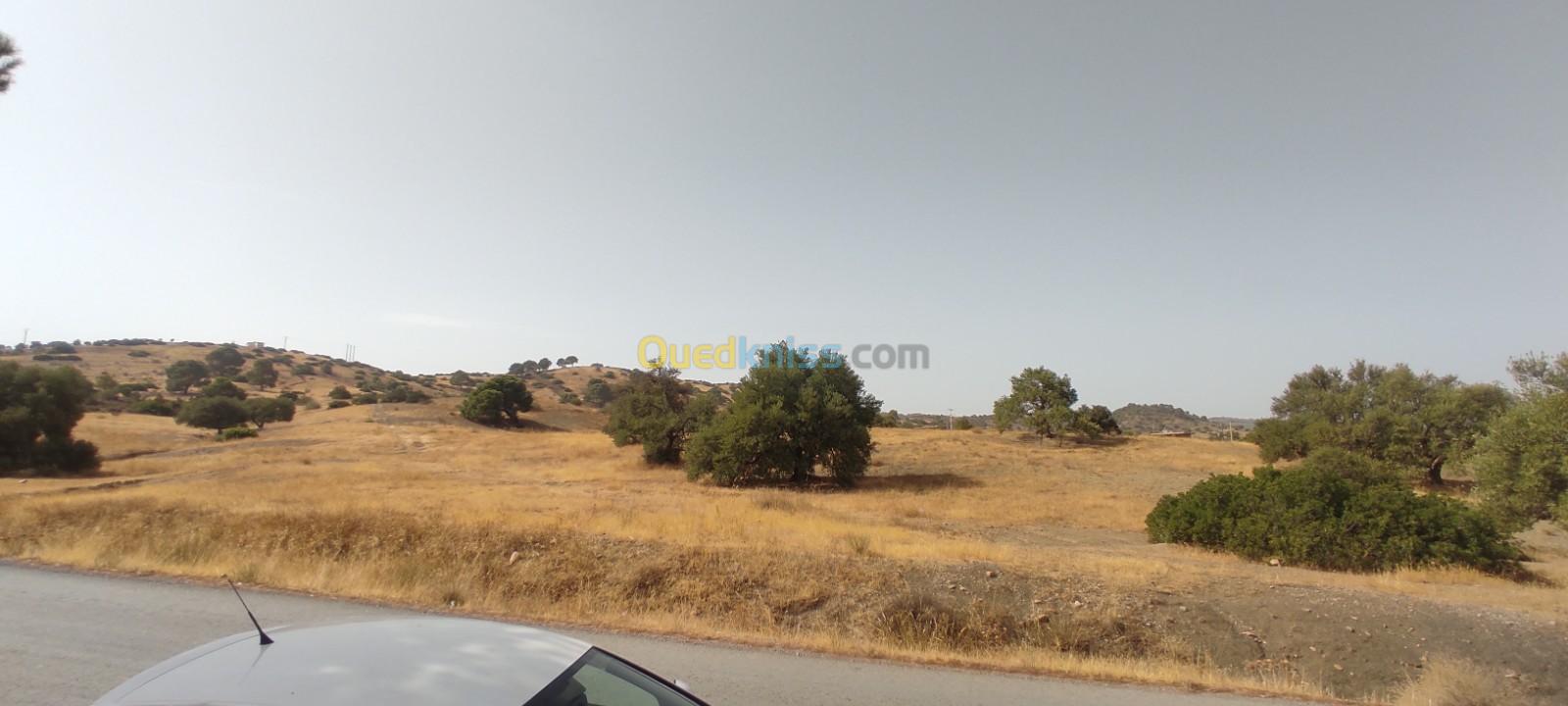 Vente Terrain Bouira Ahl el ksar