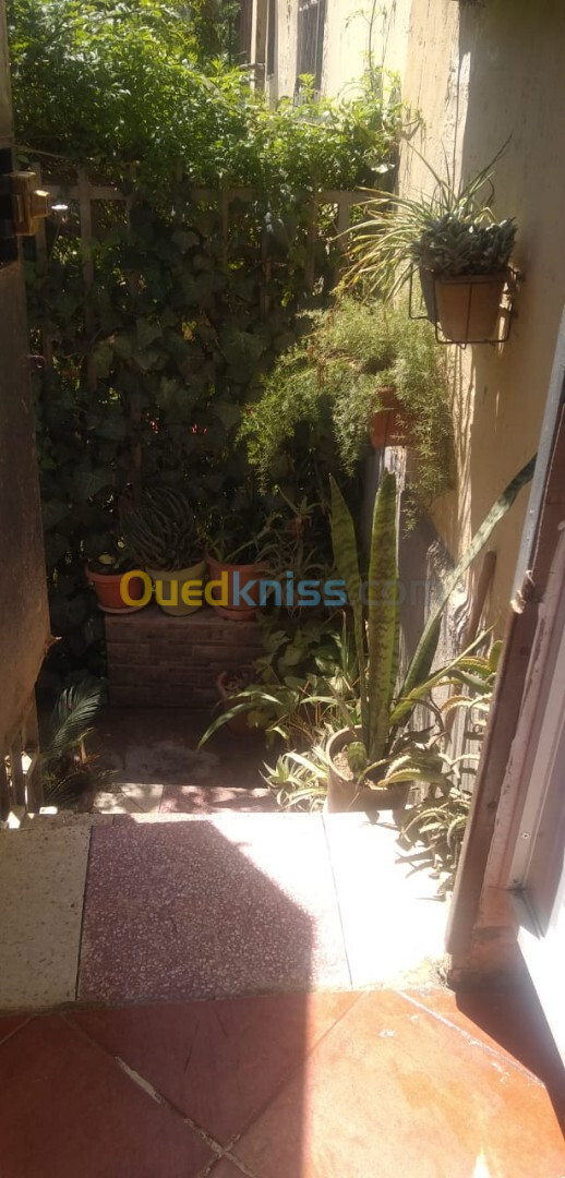 Vente Appartement F2 Alger Dar el beida