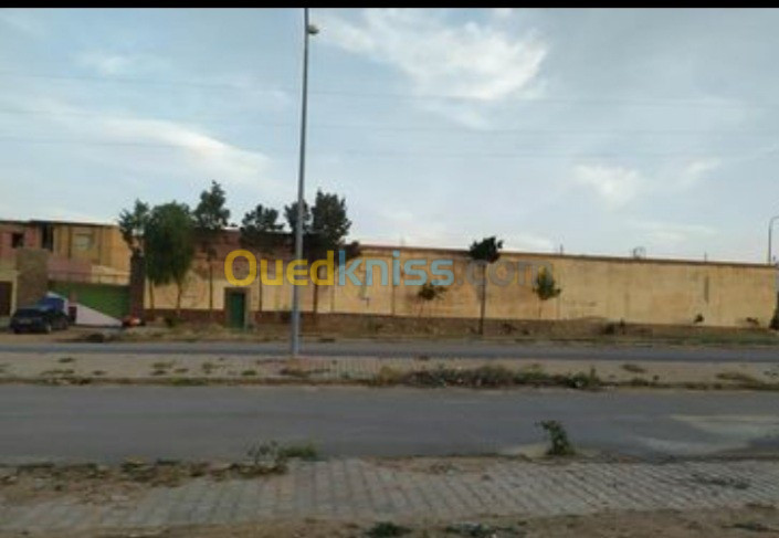 Location Hangar Msila Ouled mansour