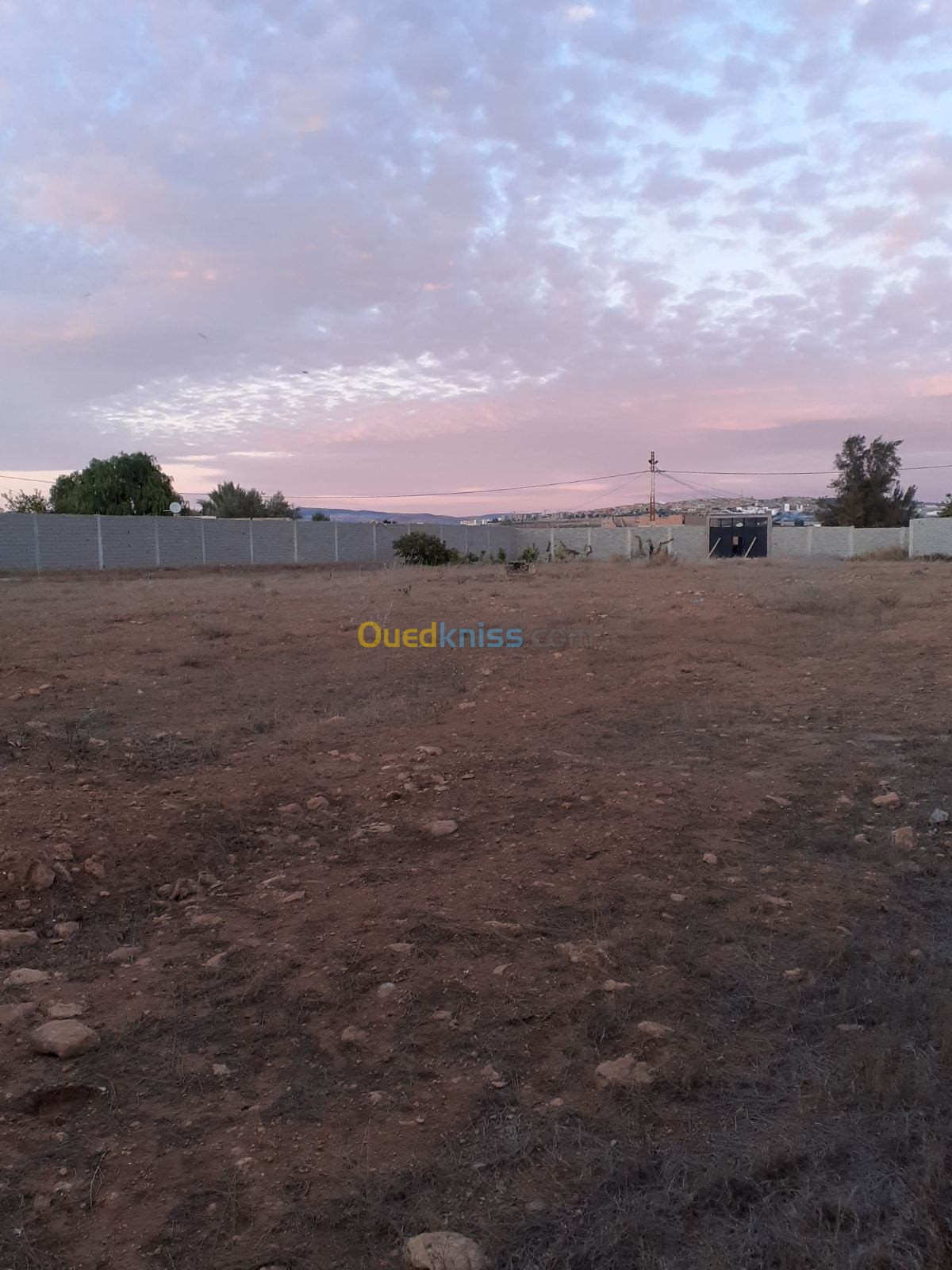 Vente Terrain Tlemcen Zenata