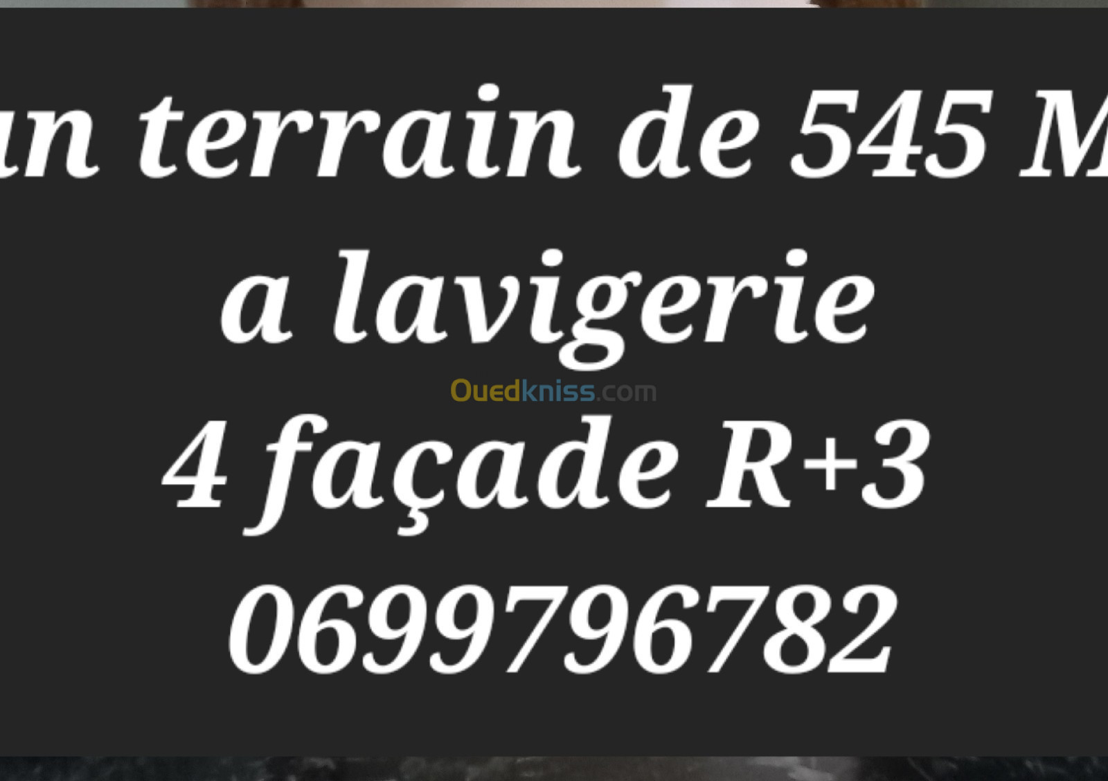 Vente Terrain Alger El harrach