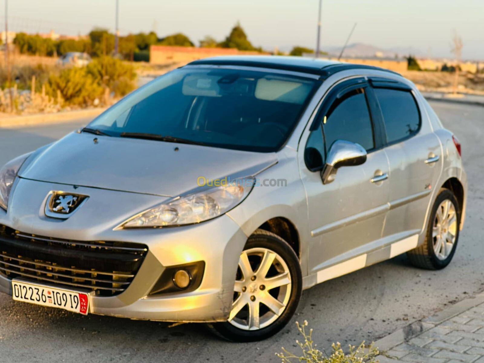 Peugeot 207 2009 Sportium