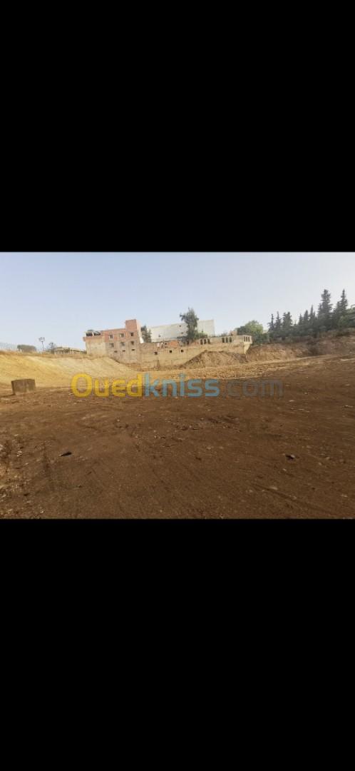 Vente Terrain Tlemcen Tlemcen