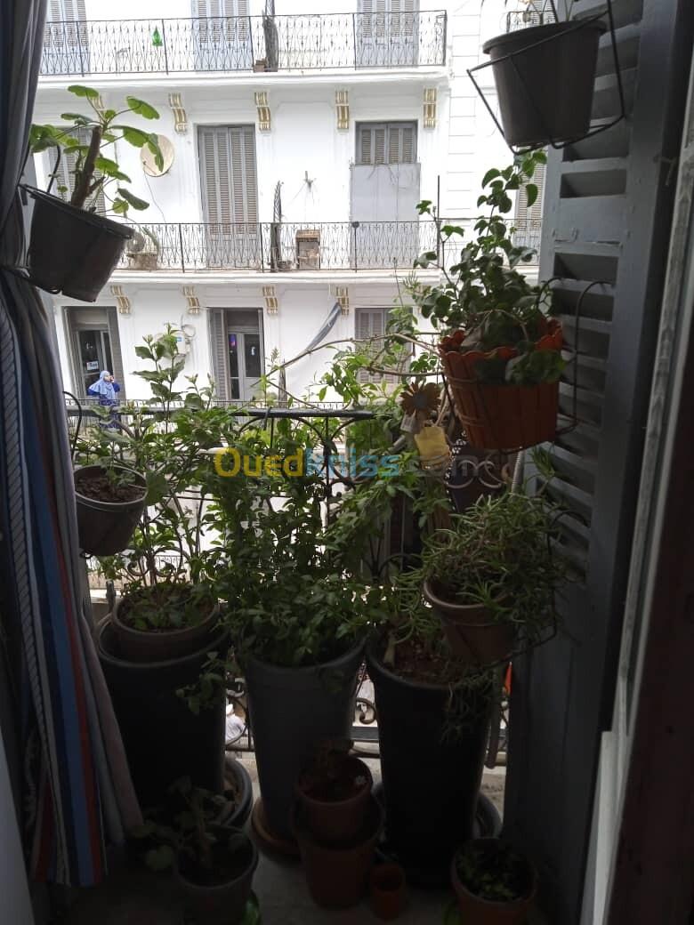 Location Appartement F3 Alger Alger centre