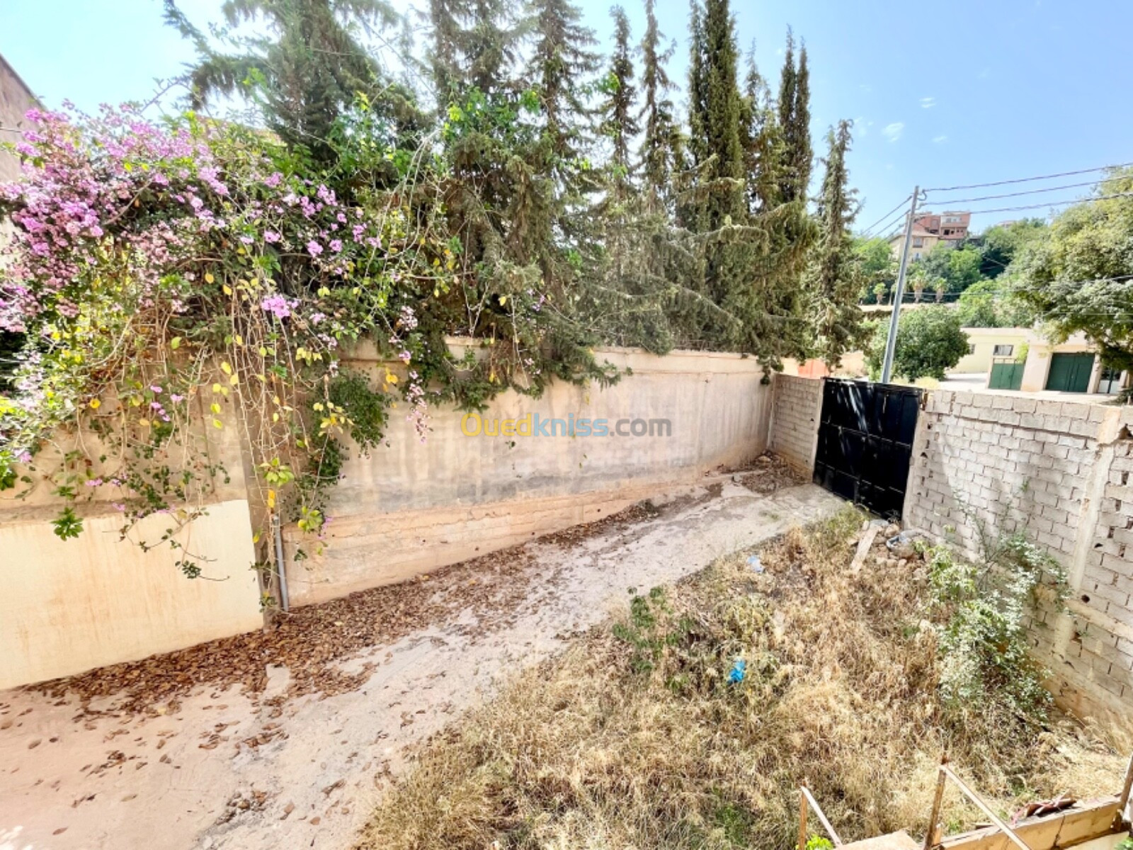 Vente Villa Tlemcen Tlemcen