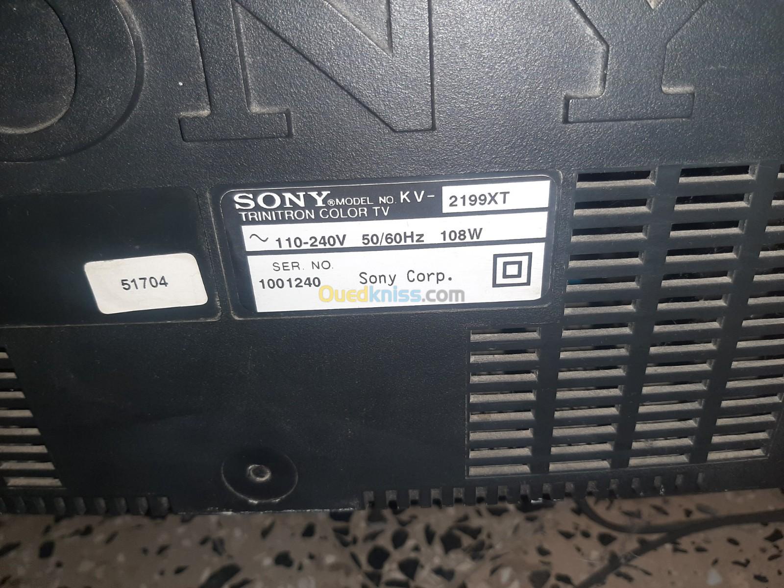 Écran Sony 21 pouces