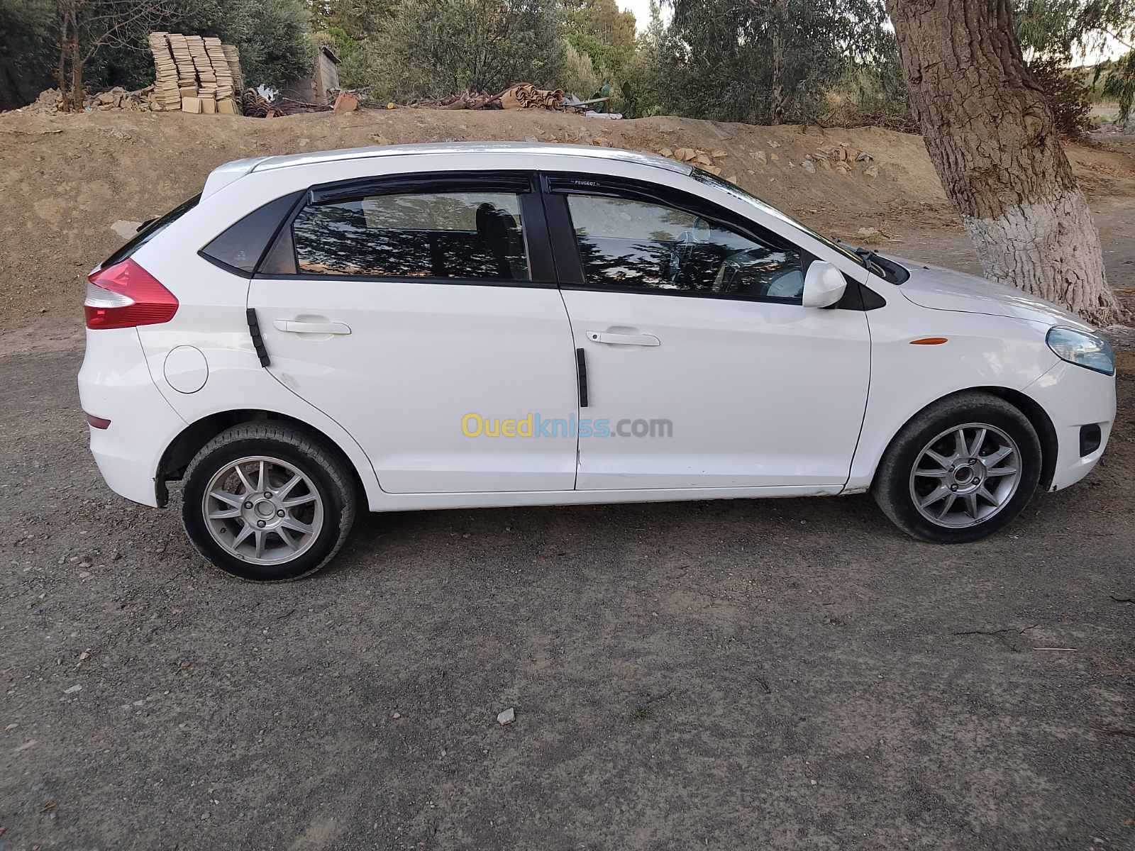 Chery Fulwin 2015 A13A