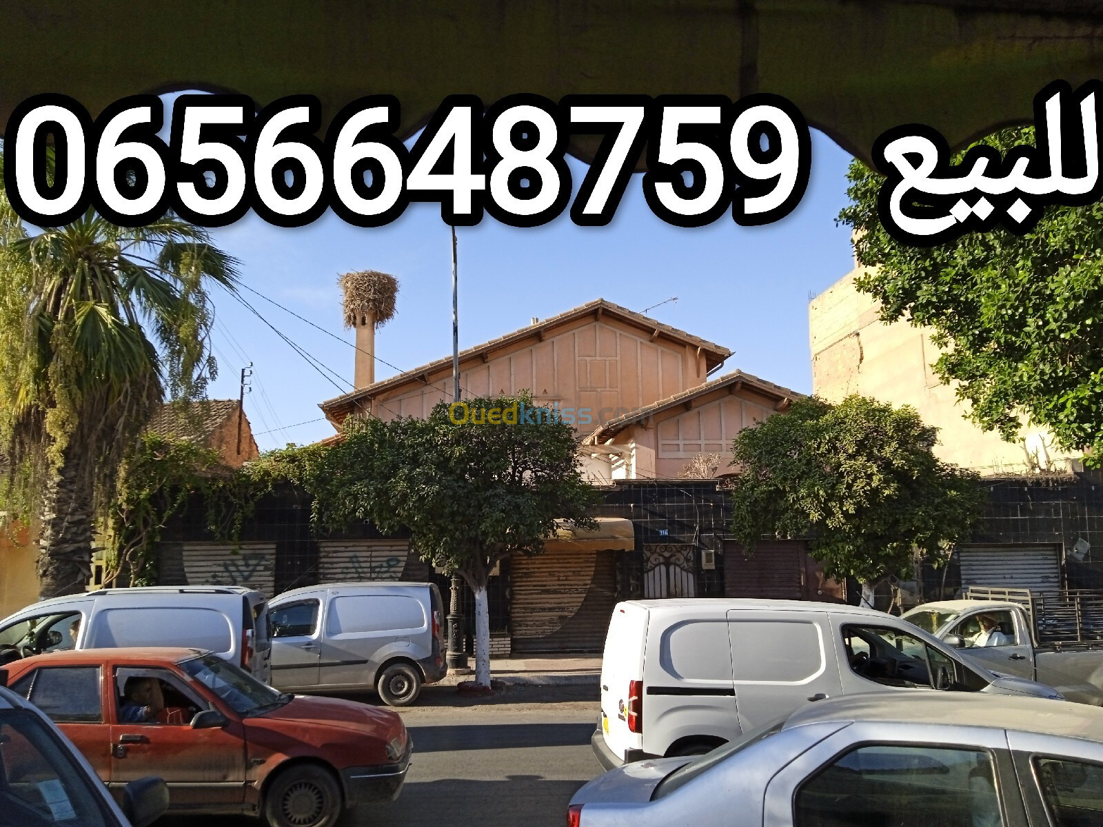 Vente Mostaganem Bouguirat