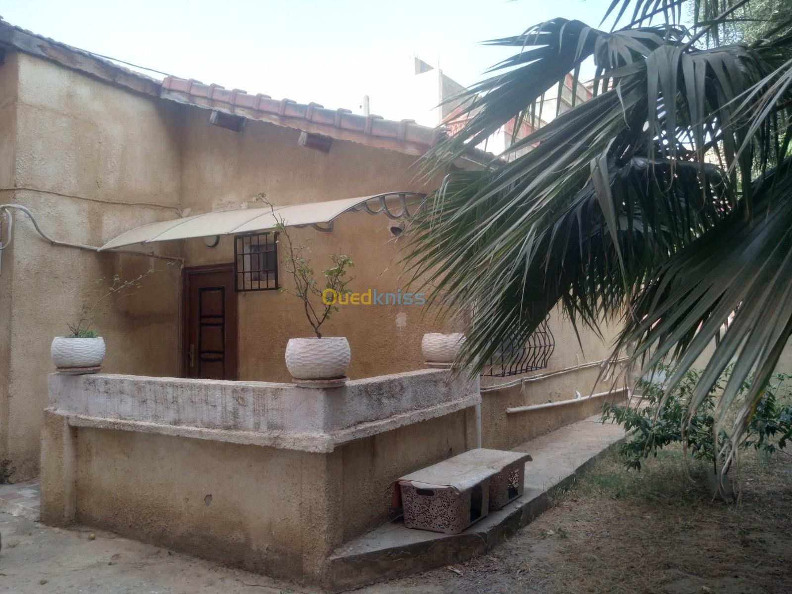 Vente Villa Blida Bouinan