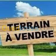 Vente Terrain Tissemsilt Tissemsilt