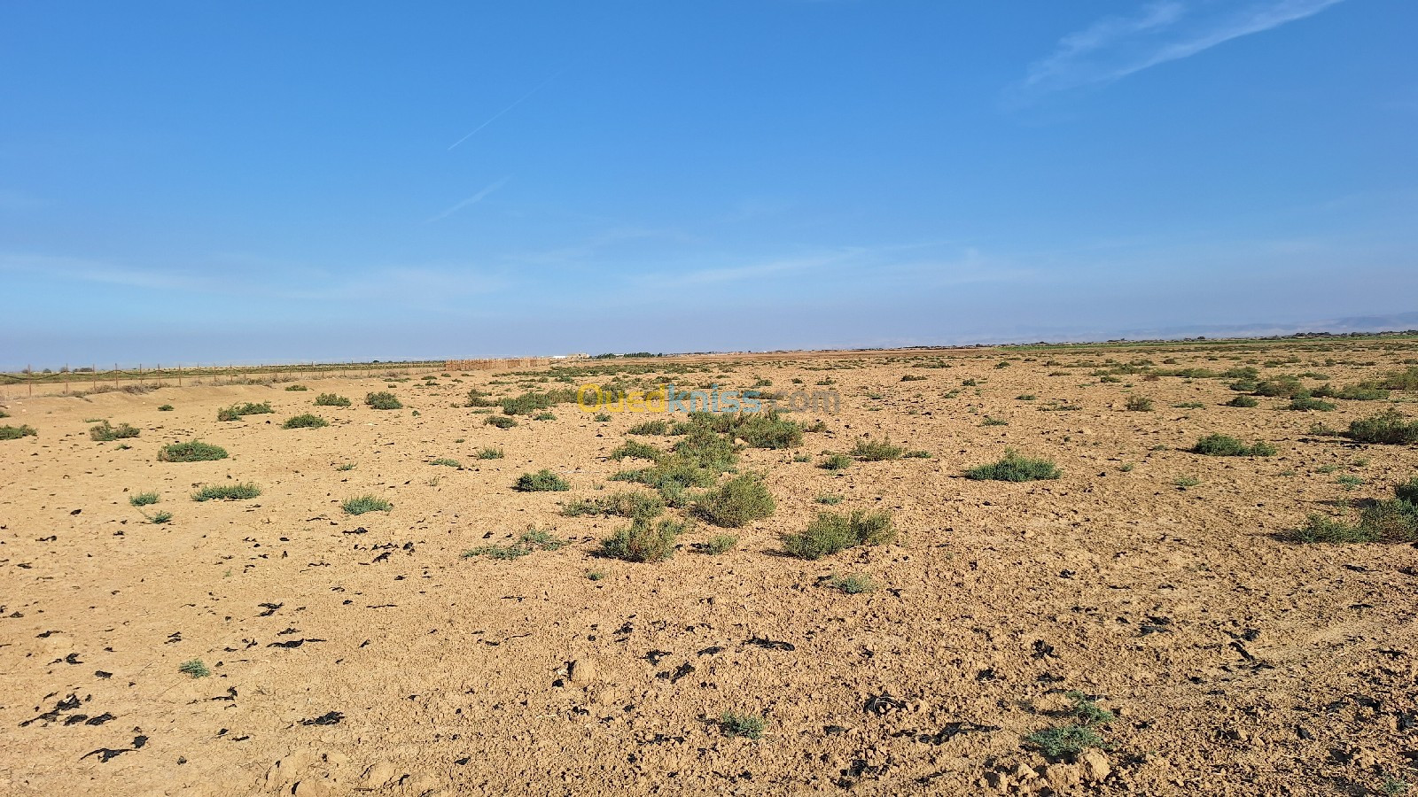 Vente Terrain Agricole Mascara Alaimia